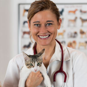 Dr. Ipsum Lorem