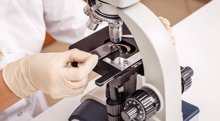 In-House Laboratory