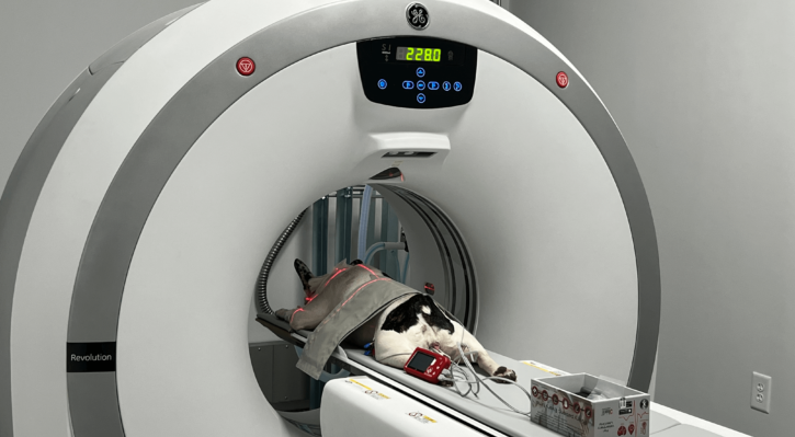 Computed Tomography (CT Scan)