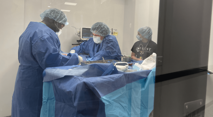 Emergency Surgery (Soft Tissue)