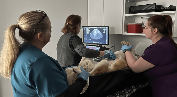 Ultrasound